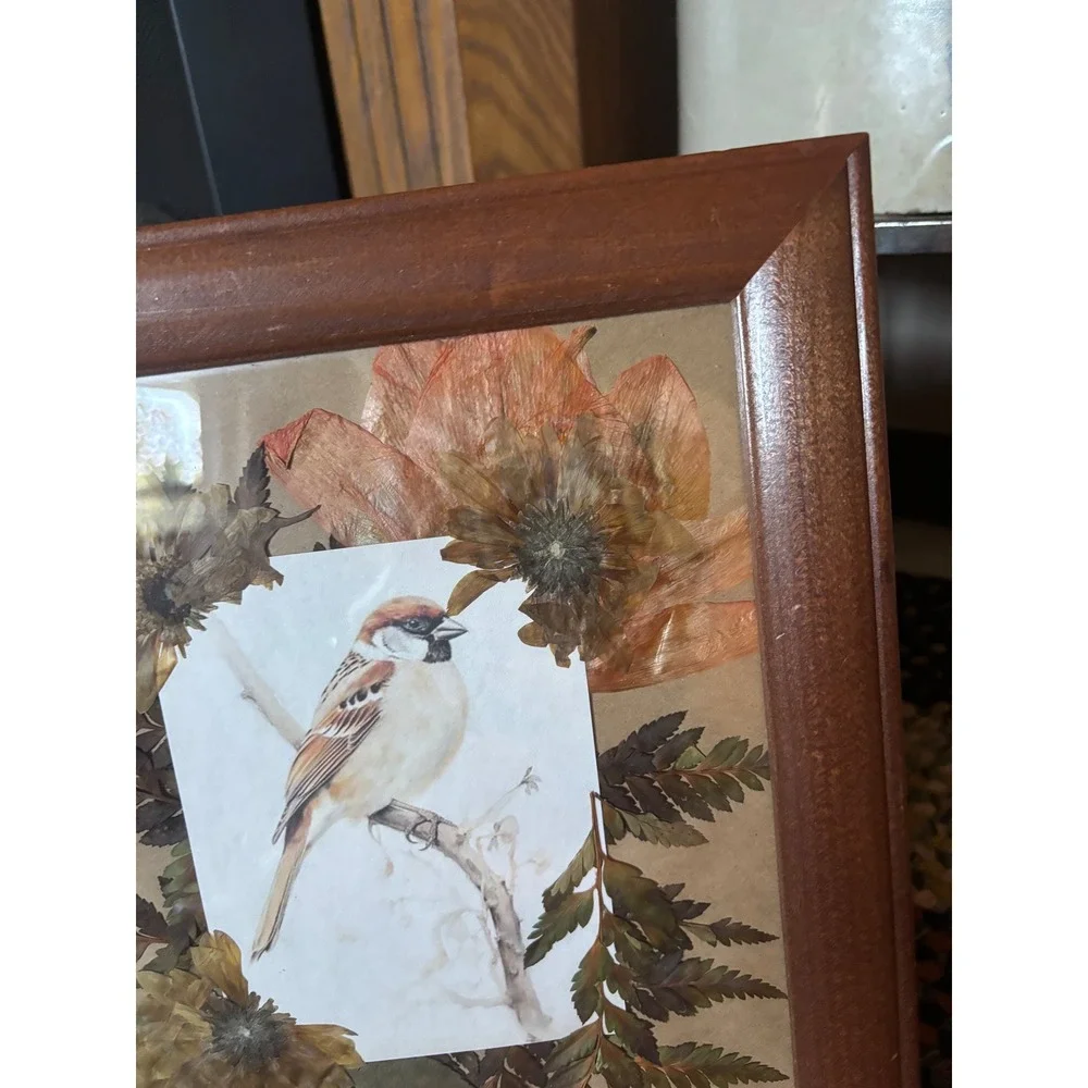 Vintage Framed Pressed Flower Bird Art Wood Frame Botanical Wall Decor 10x12